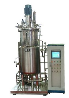 厌氧水蜜桃视频网站
