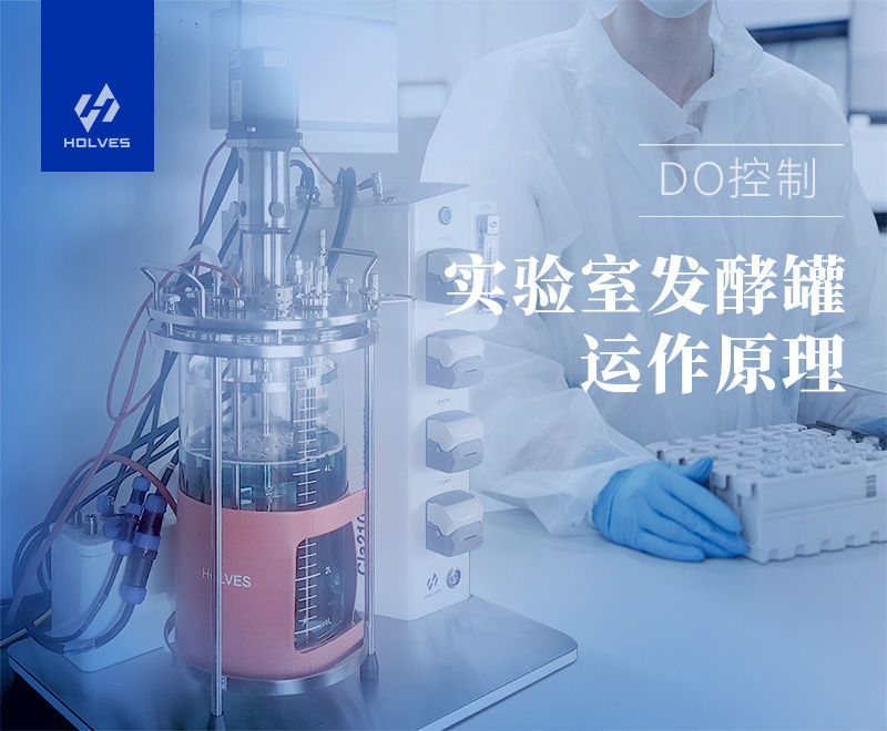 实验室水蜜桃视频网站 实验室水蜜桃视频网站