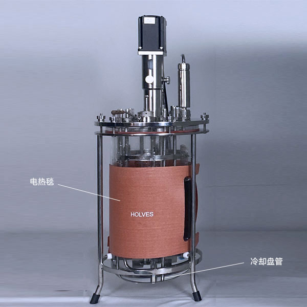 蜜桃视频网在线播放(HOLVES)实验水蜜桃视频网站 蜜桃视频网在线播放(HOLVES)实验水蜜桃视频网站