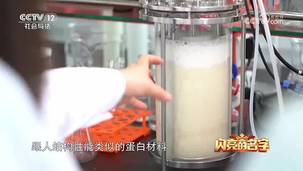 水蜜桃视频网站 水蜜桃视频网站