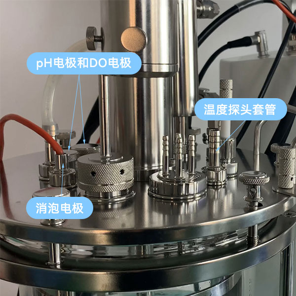 水蜜桃视频网站传感器 水蜜桃视频网站传感器